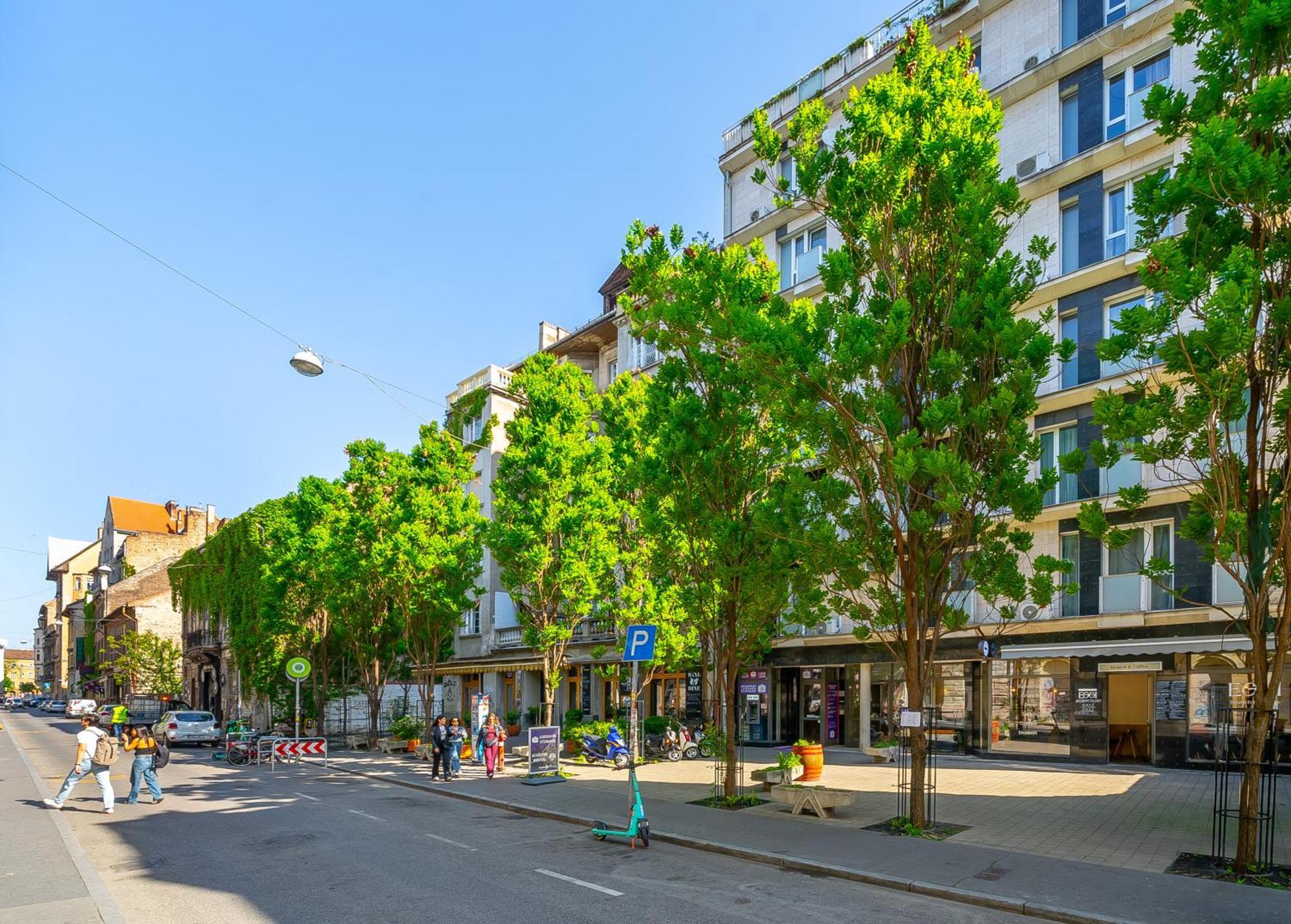 Klauzal 11-202 City Center Apartment Budapest Bagian luar foto
